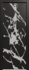 фото товара 3