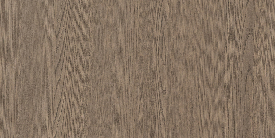 Дуб интеллигент пепельный